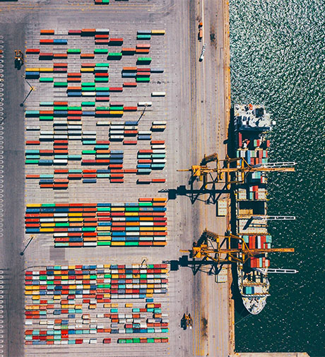 Avail Export drives global expansion through expert import and export