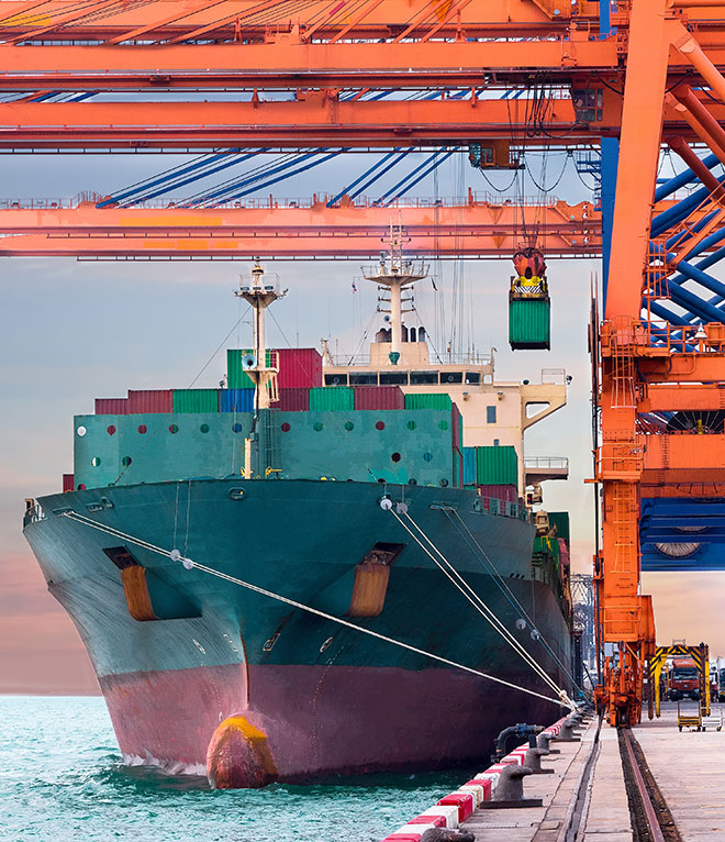 import and export